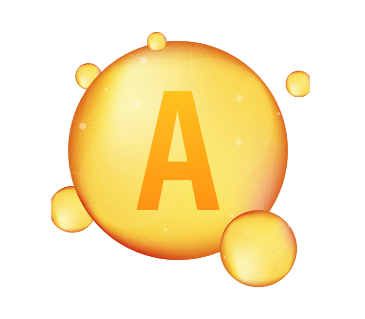 Icon 5