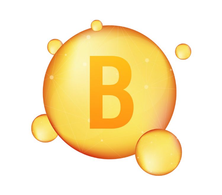 Icon 5