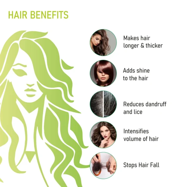 Natural Herbal Henna Powder for Hair Color Mehandi – 100g - Image 5
