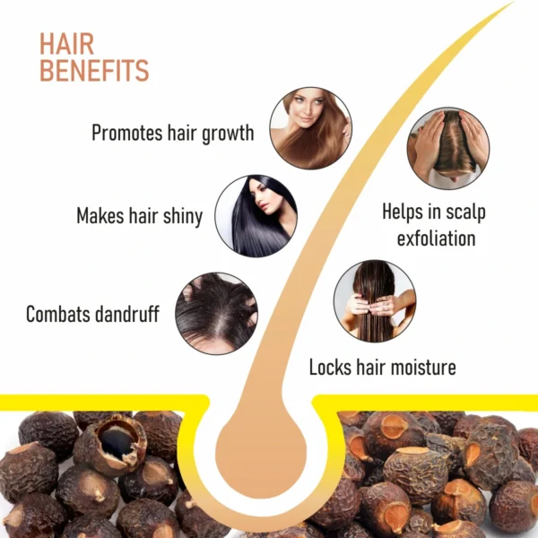 Natural Reetha Raw for Hair & Skin Care Shampoo – 100g - Image 5