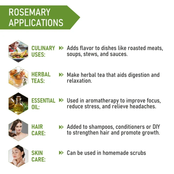 Rosemary Dried Leaves for Tea & Hair Growth | 100% Pure & Natural – 200g - Image 5